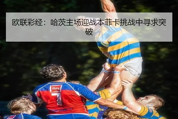欧联彩经：哈茨主场迎战本菲卡挑战中寻求突破